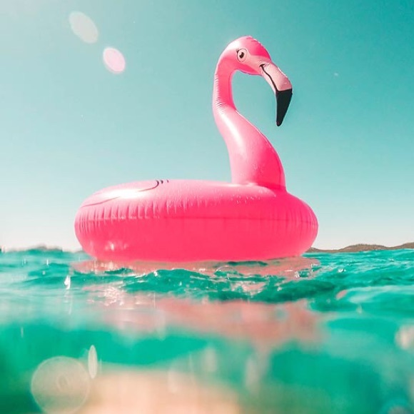 NEW FOLLOWING GAME!!! - Picture 2 of 4